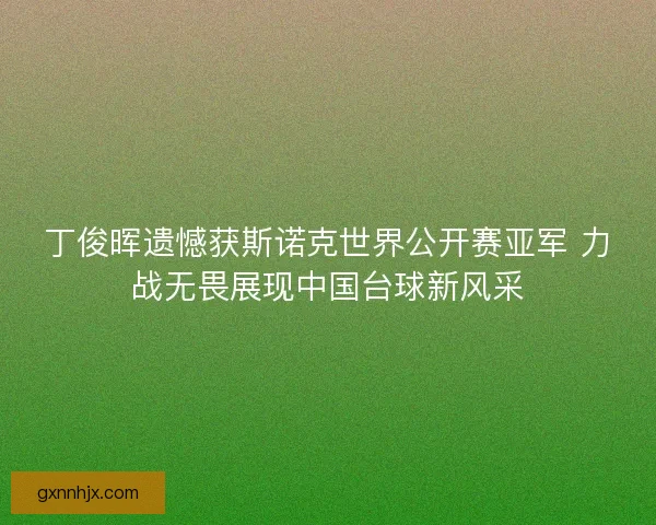 丁俊晖遗憾获斯诺克世界公开赛亚军 力战无畏展现中国台球新风采