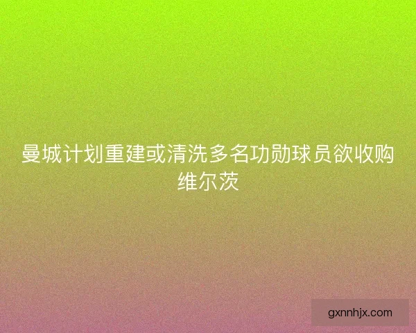 曼城计划重建或清洗多名功勋球员欲收购维尔茨