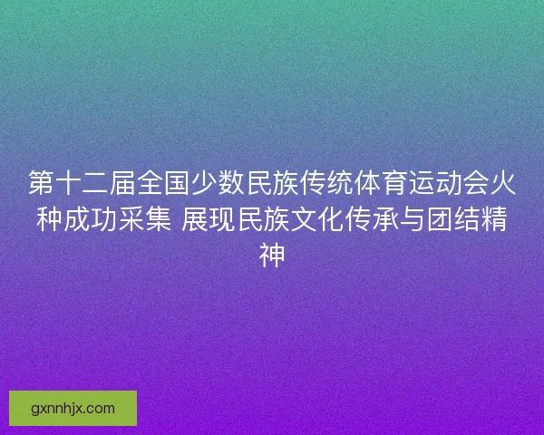 第十二届全国少数民族传统体育运动会火种成功采集 展现民族文化传承与团结精神